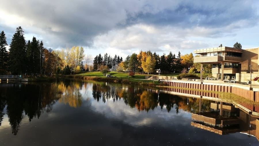 Lakehead University