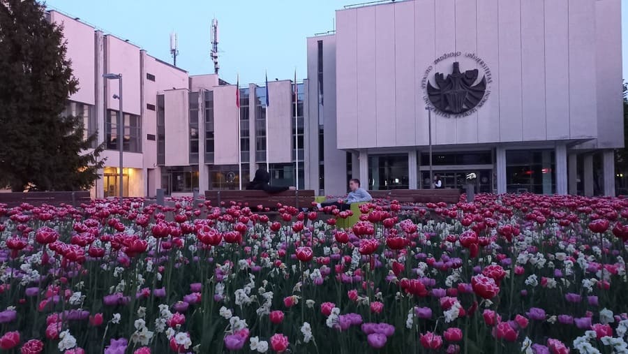 Vytauto Didžiojo Universitetas​